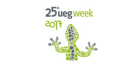 azafatas-25-uegweek2017